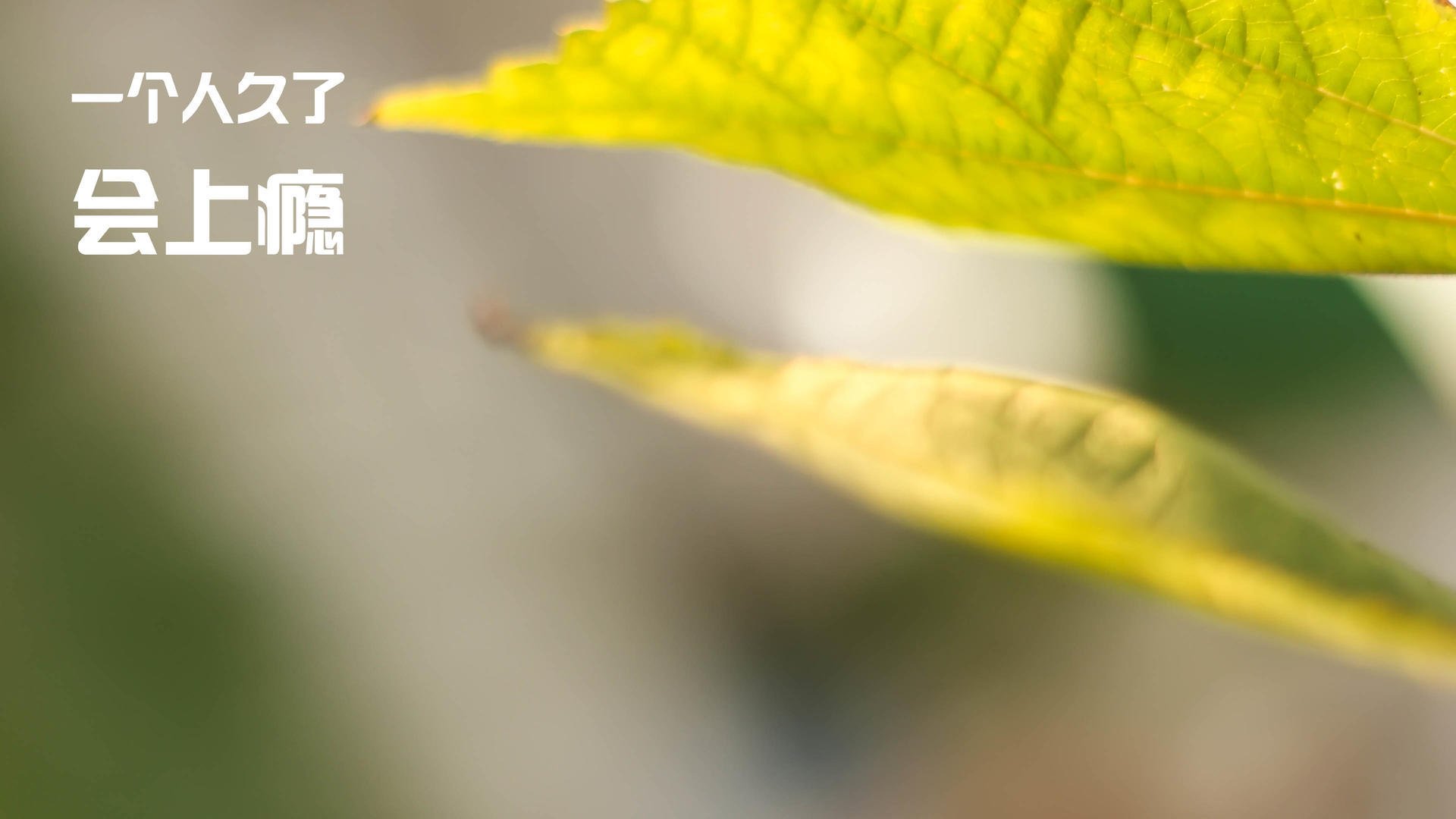 史上“最默契”的团队合作瞬间,配合同样令人陶醉,团队合作默契的成语