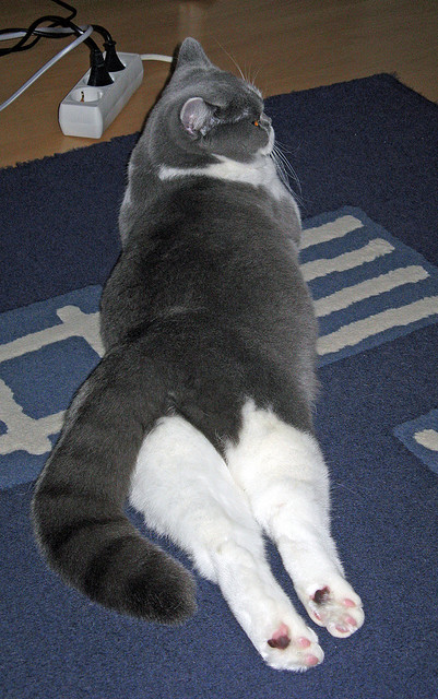 开云体育平台-2019年季后赛，库里在一场比赛中投中8个三分，刷新个人季后赛单场三分球纪录