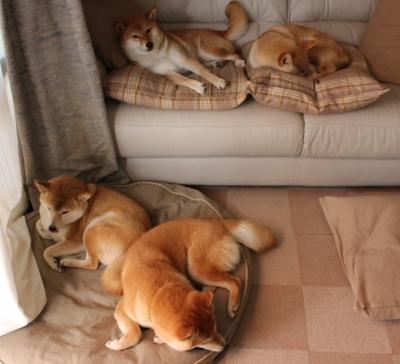 APEX英雄 全球战队积极备战，apex战队成员