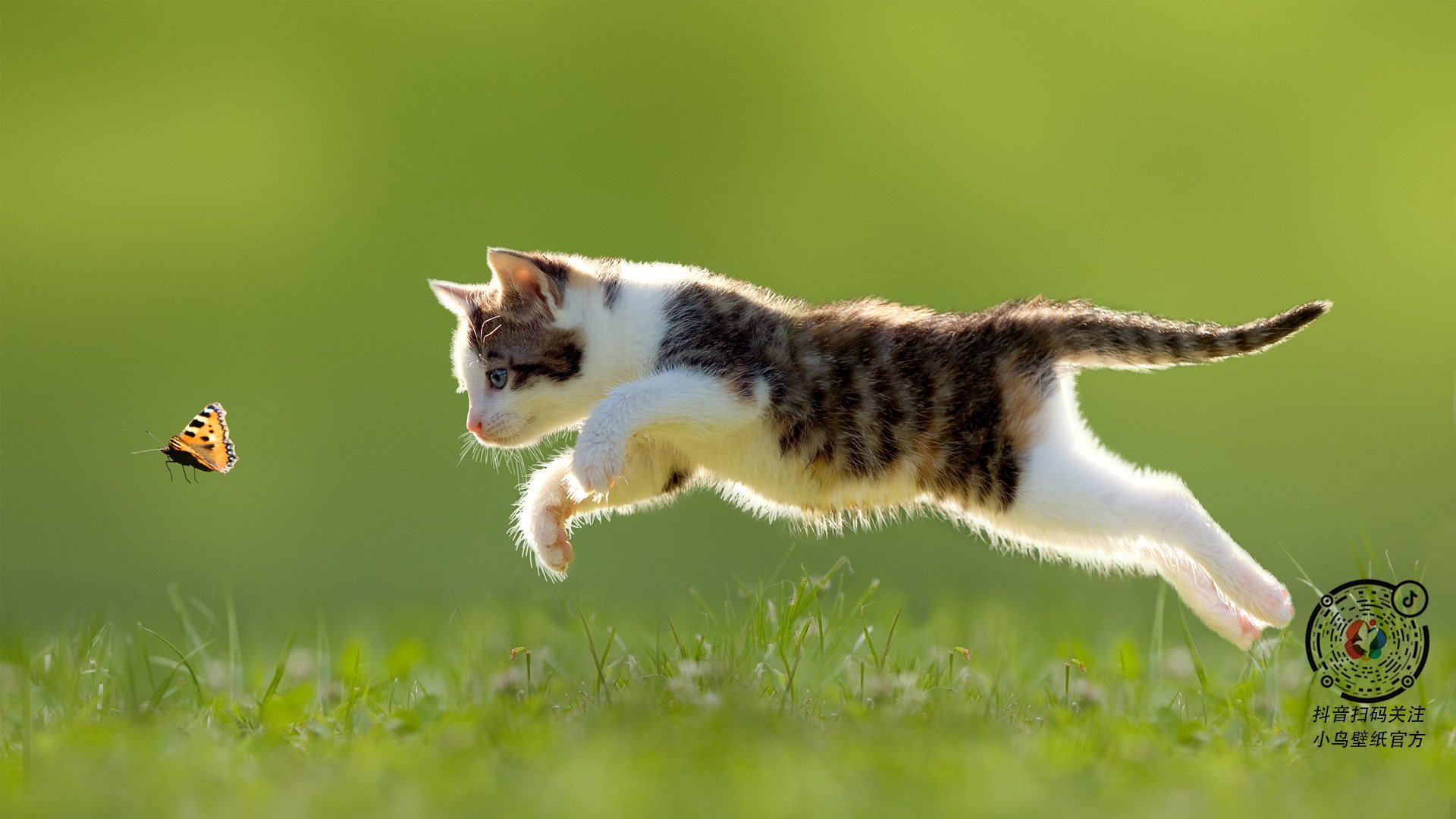 开云官网在线-VALORANT 赛事直播吸引大量观众，valorant 2021