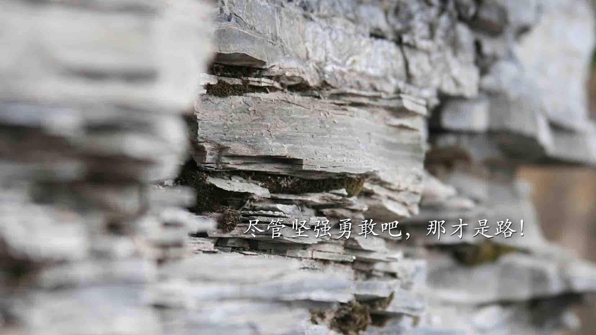 开云体育中国官方网站-_未来体育数字化：虚拟运动场馆引领潮流_，虚拟运动会